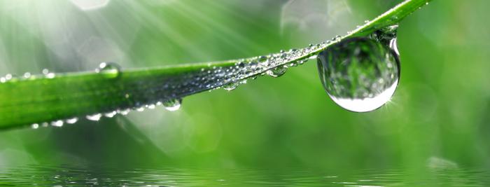 Regenwassernutzung - Hinz - Wasser, Wärme, Umwelt