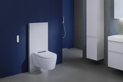 Upgrade für das Bad: ein Dusch-WC gehört dazu